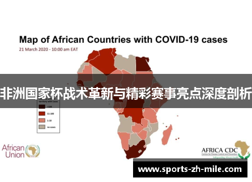 非洲国家杯战术革新与精彩赛事亮点深度剖析 非洲国家杯战术革新与精彩赛事亮点深度剖析
