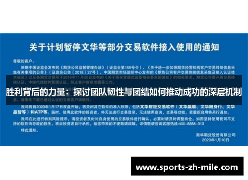 胜利背后的力量：探讨团队韧性与团结如何推动成功的深层机制