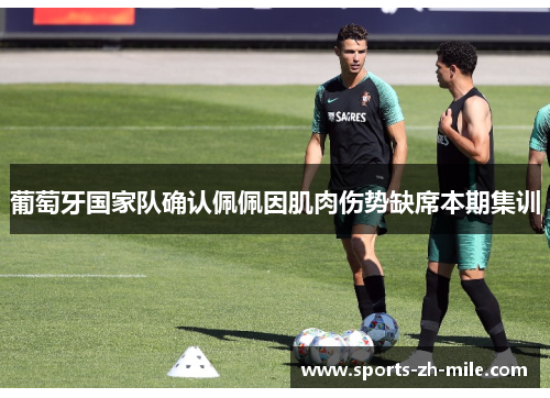 葡萄牙国家队确认佩佩因肌肉伤势缺席本期集训