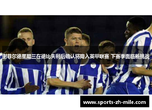 谢菲尔德星期三在德比失利后确认将降入英甲联赛 下赛季面临新挑战
