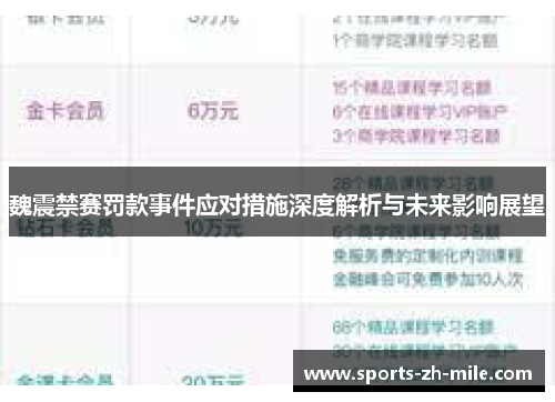 魏震禁赛罚款事件应对措施深度解析与未来影响展望